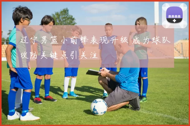 辽宁男篮小前锋表现升级 成为球队攻防关键点引关注