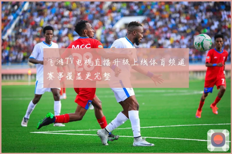 飞鸿TV电视直播升级上线体育频道赛事覆盖更完整