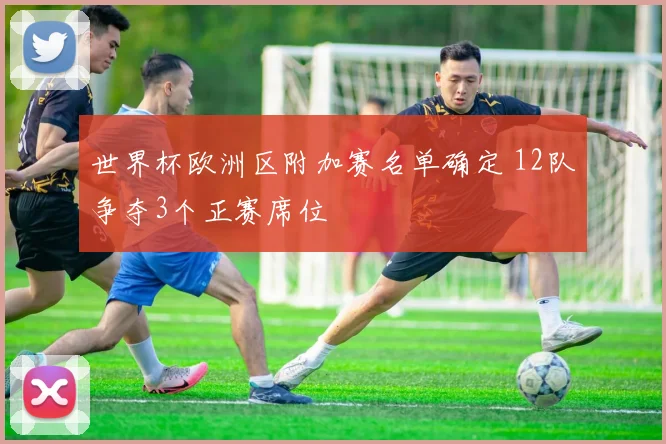 世界杯欧洲区附加赛名单确定 12队争夺3个正赛席位
