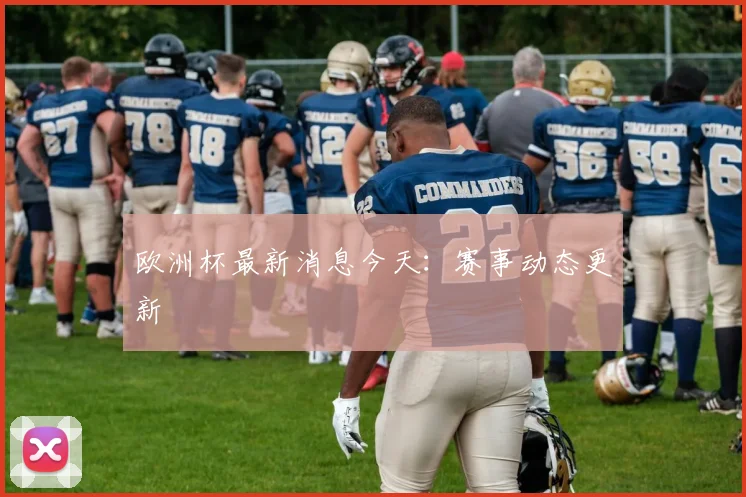 欧洲杯最新消息今天：赛事动态更新