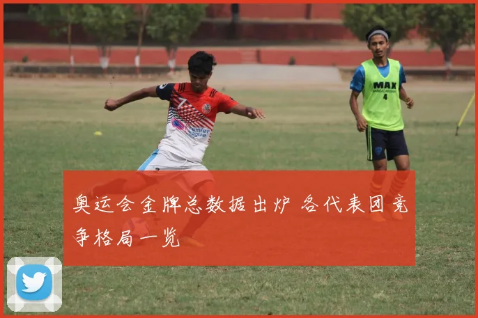 奥运会金牌总数据出炉 各代表团竞争格局一览